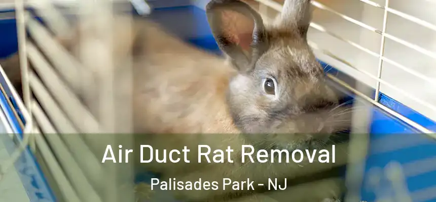  Air Duct Rat Removal Palisades Park - NJ
