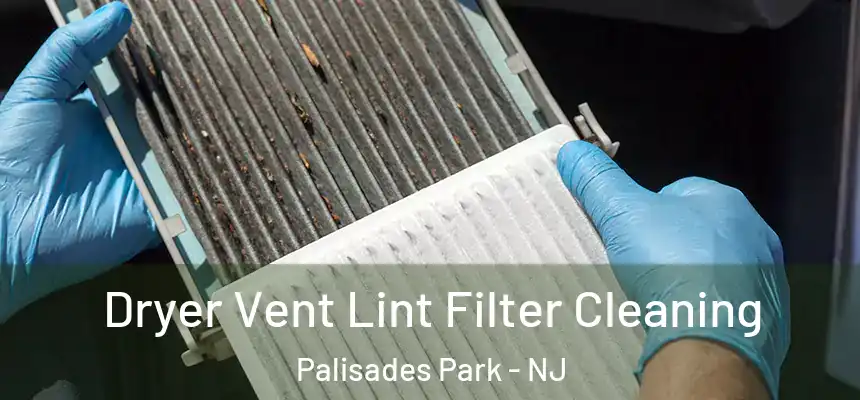  Dryer Vent Lint Filter Cleaning Palisades Park - NJ