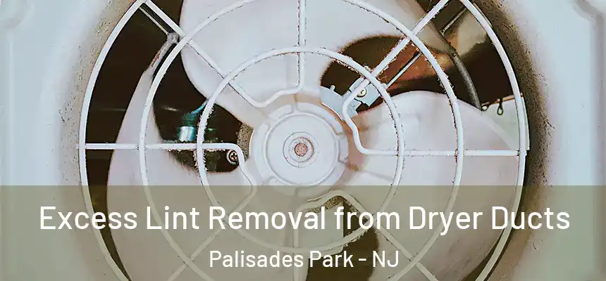  Excess Lint Removal from Dryer Ducts Palisades Park - NJ
