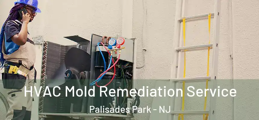  HVAC Mold Remediation Service Palisades Park - NJ