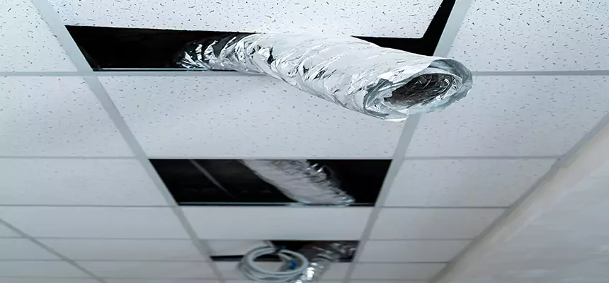 Affordable HVAC Sanitizing After Pest Removal in Palisades Park