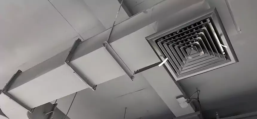 Restorative Allergy Relief Vent Cleaning – Coil, Blower & Housing Detail in Palisades Park