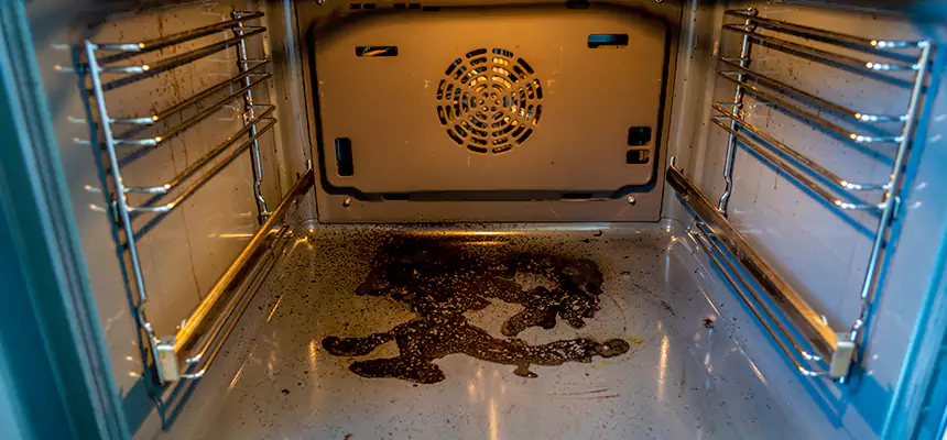 Our Dryer Vent Mold Cleaning Services in Palisades Park, NJ