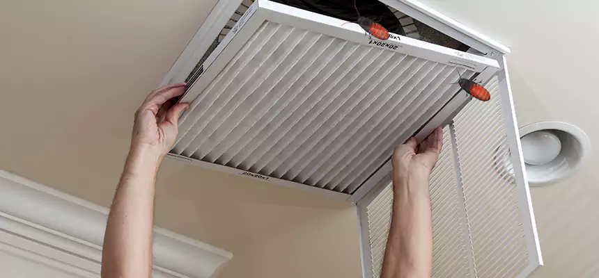 Our Insect Removal from Air Ducts Services in Palisades Park, NJ