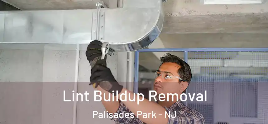  Lint Buildup Removal Palisades Park - NJ