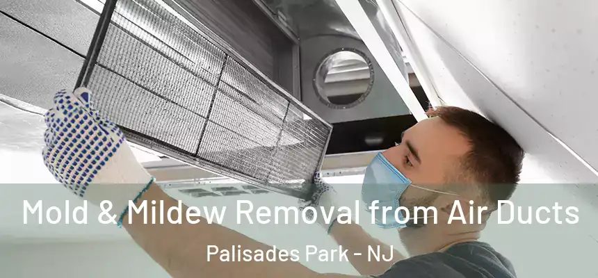  Mold & Mildew Removal from Air Ducts Palisades Park - NJ