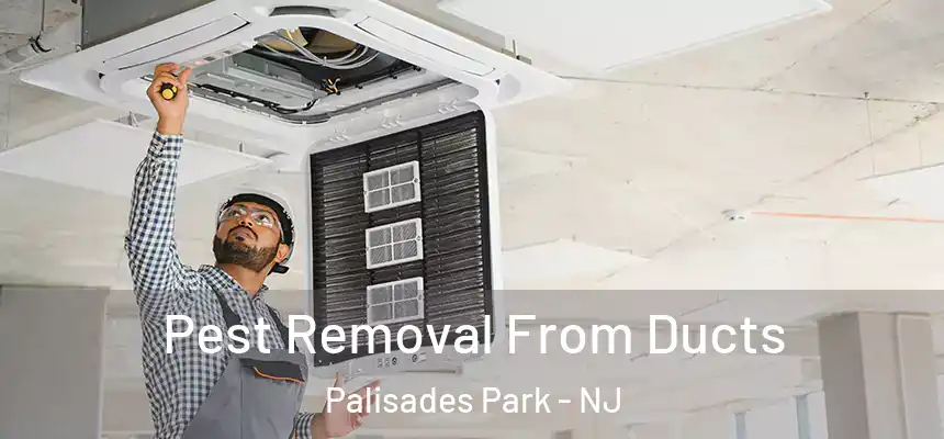 Pest Removal From Ducts Palisades Park - NJ