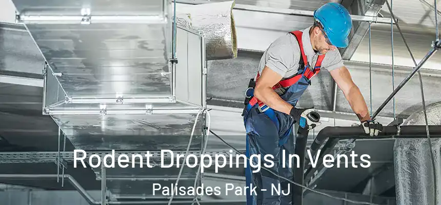  Rodent Droppings In Vents Palisades Park - NJ