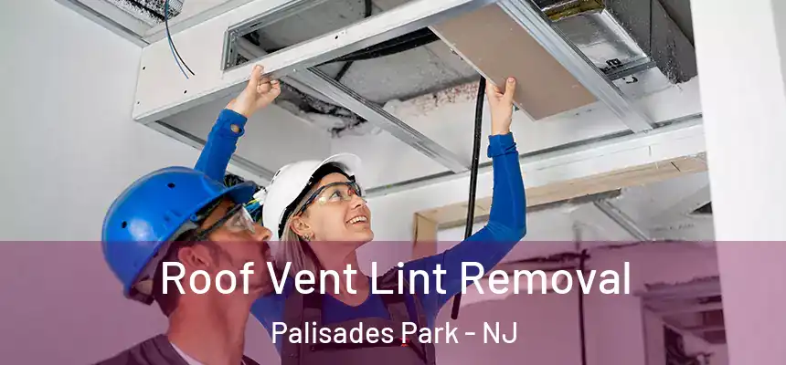  Roof Vent Lint Removal Palisades Park - NJ