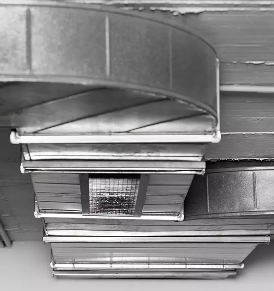 Professional Air Duct Pet Hair Removal in Palisades Park, NJ