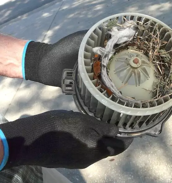 About Air Duct Rat Removal in Palisades Park, NJ