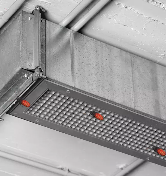 Affordable Insect Removal from Air Ducts in Palisades Park, NJ