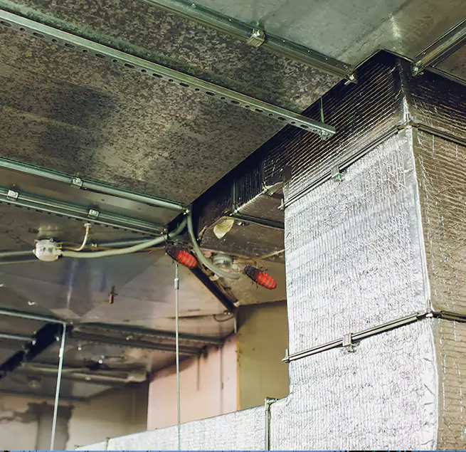 Why Homeowners & Businesses Trust Us in Palisades Park, NJ?