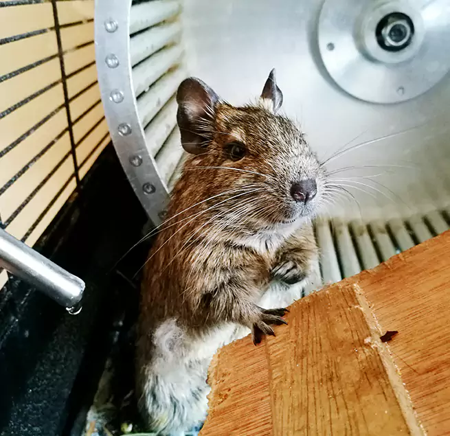 Why Homeowners & Businesses Trust Us Palisades Park, NJ?