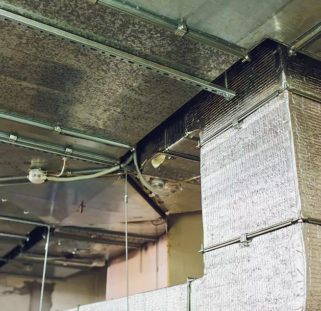 Why Homeowners & Businesses Trust Us in Palisades Park, NJ?