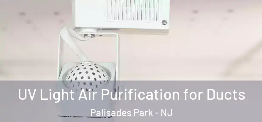  UV Light Air Purification for Ducts Palisades Park - NJ